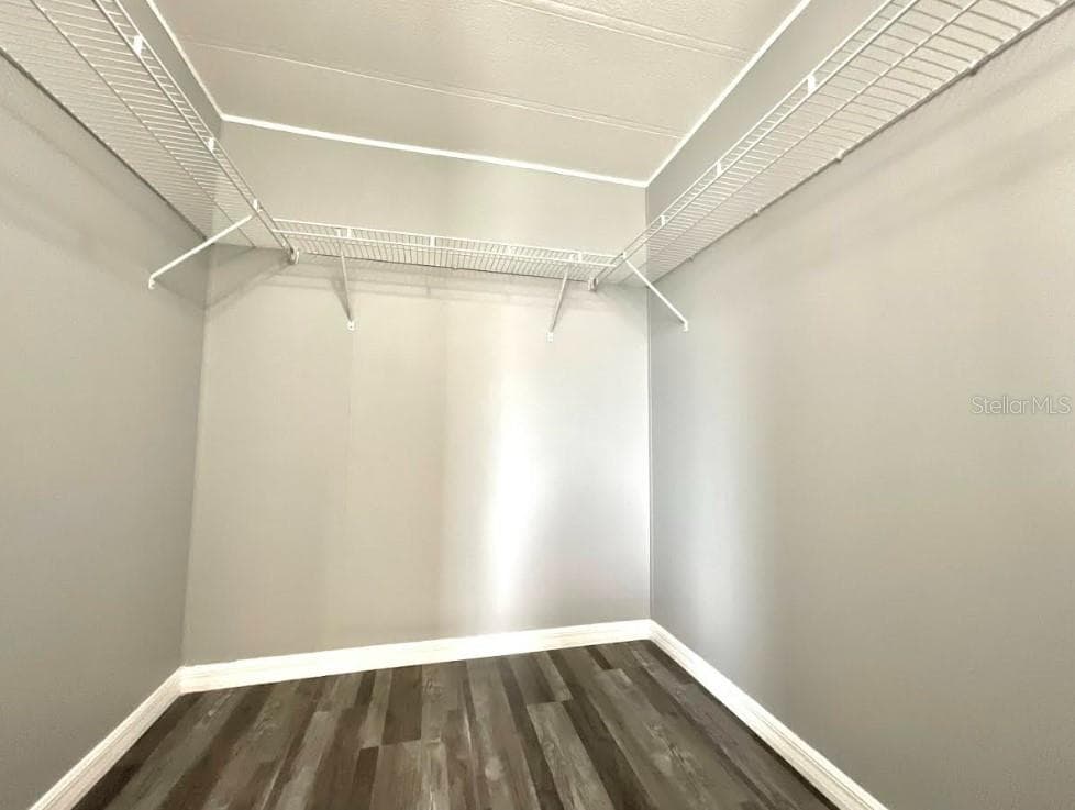 Primary Walk-in Closet - 2612 MCDANIEL DR, KISSIMMEE
