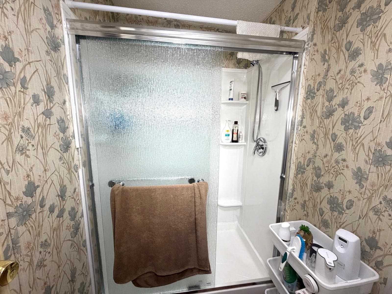 Primary Bathroom - 3937 CHRIS DR, WESLEY CHAPEL