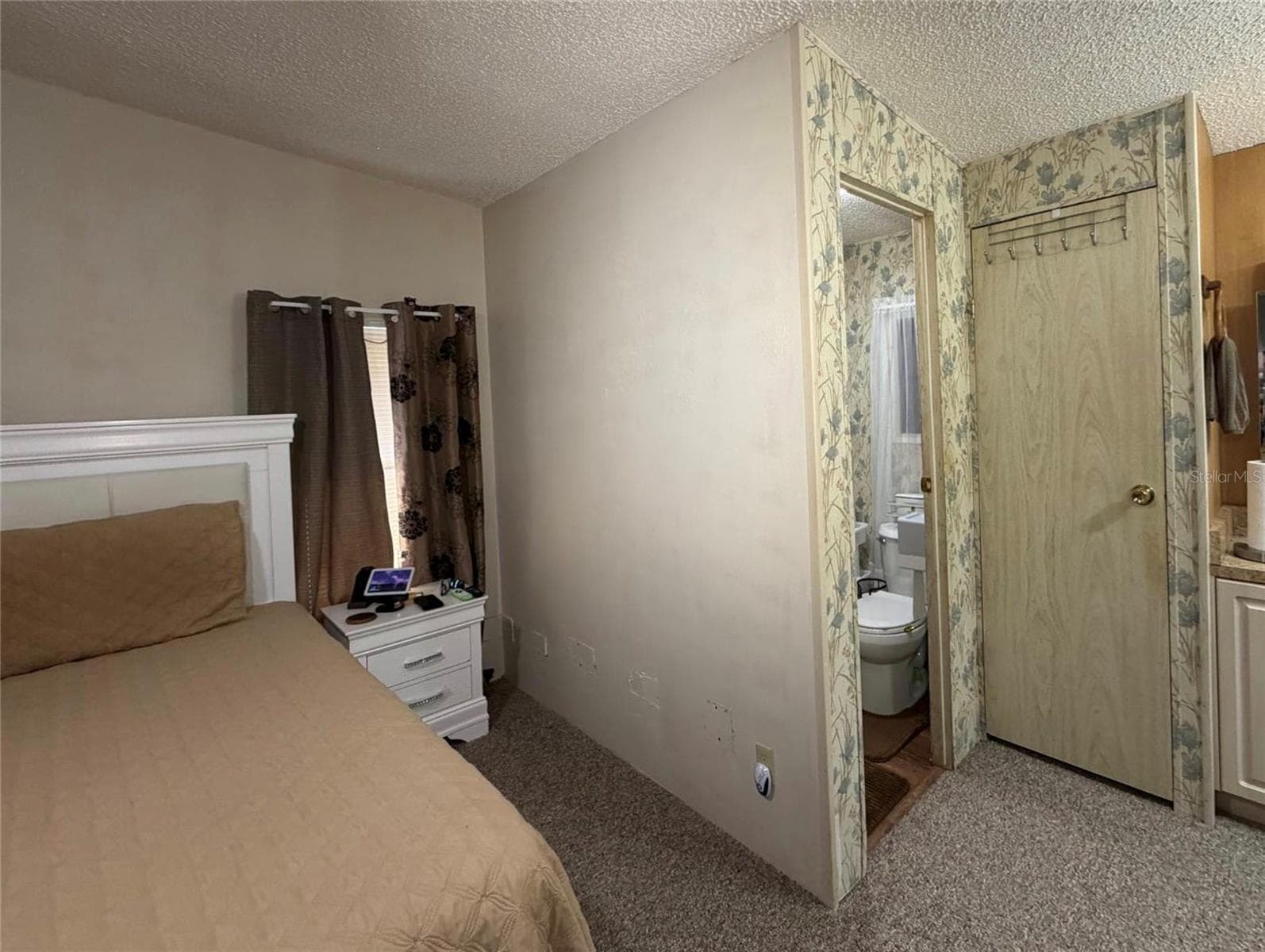 Primary Bedroom - 3937 CHRIS DR, WESLEY CHAPEL