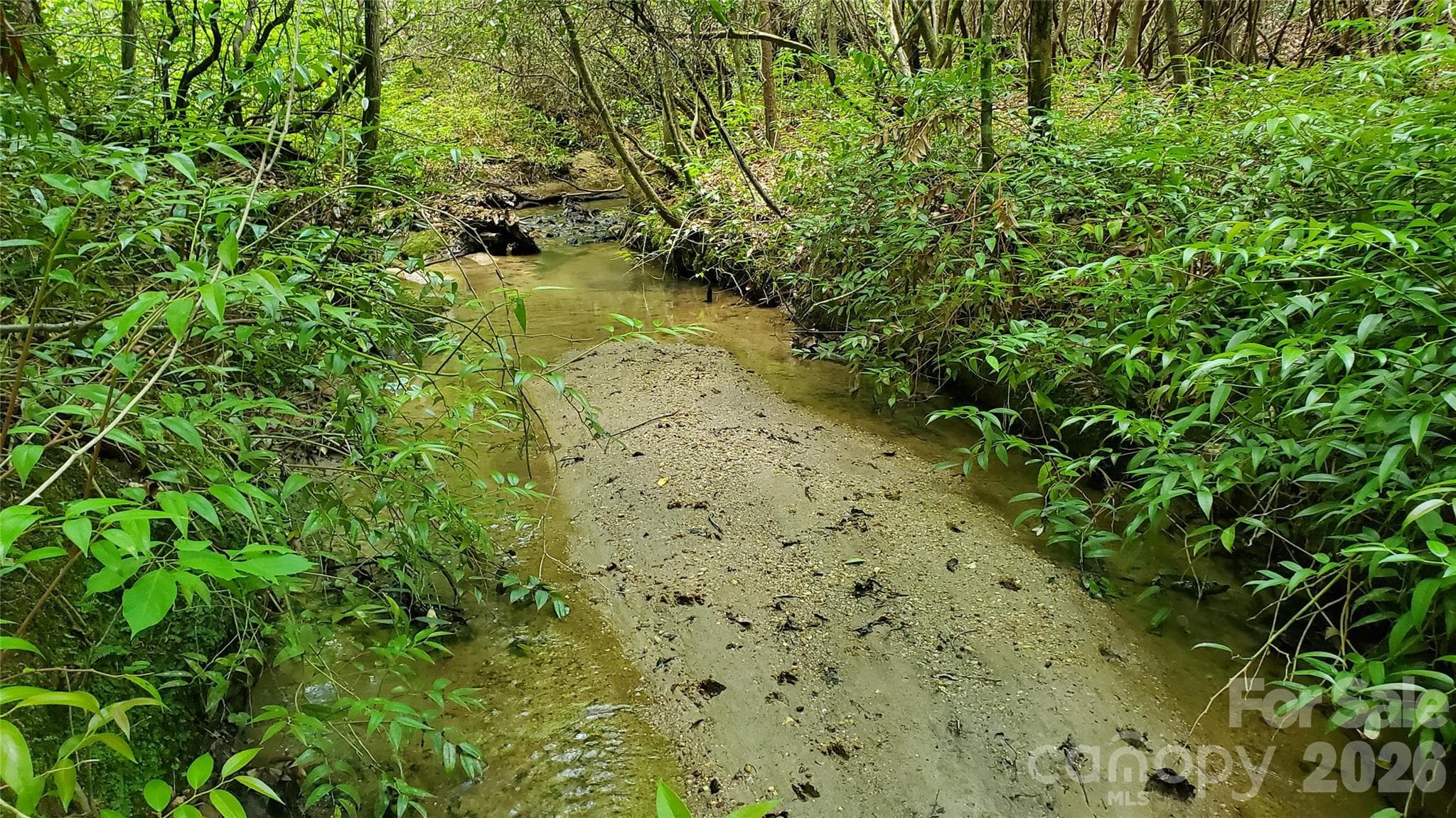 Creek runs the lower portion of the land and widens out after the spring run flows into it.! Very pretty, and a great flowing creek to do all kinds of things with.! As it flows it takes on a number of different looks thru different terrain.! - 755 Hamilton Drive, Columbus