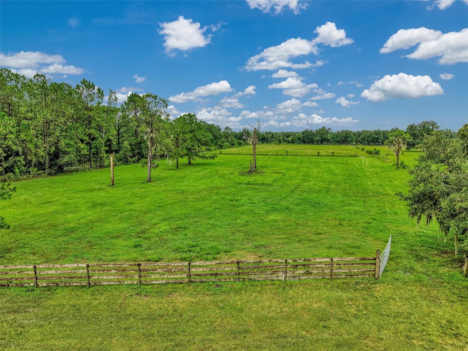 Pristine pastures are ready to graze - 4610 403RD ST E, MYAKKA CITY