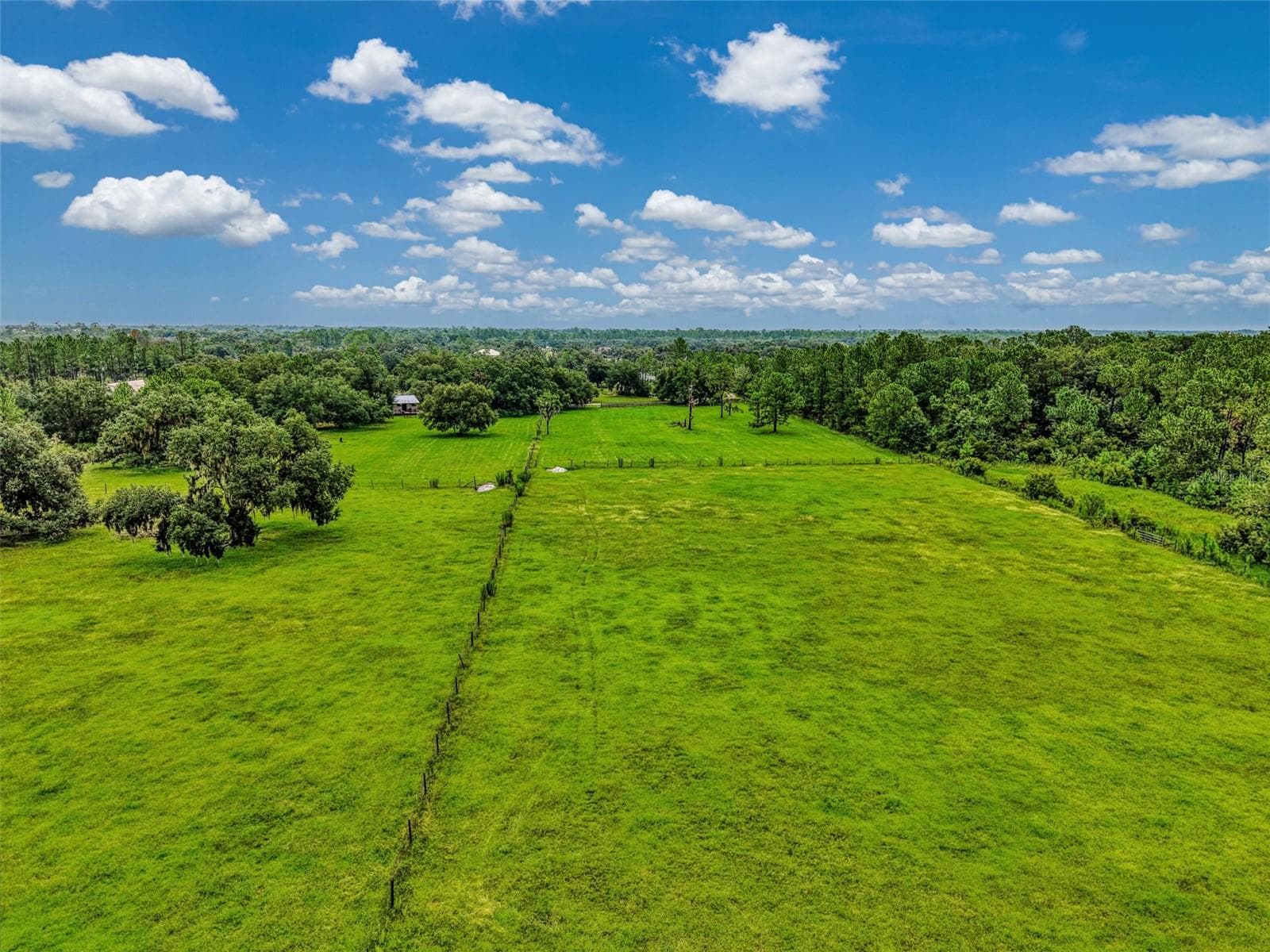 Bring the cattle or horses - 4610 403RD ST E, MYAKKA CITY