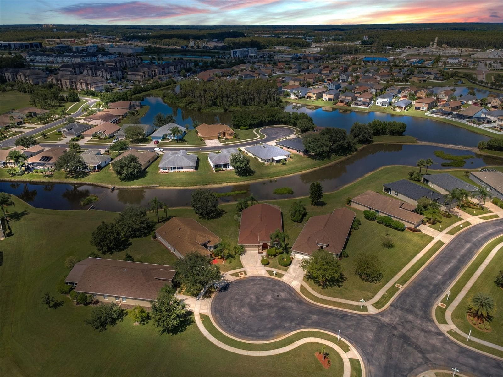 AERIAL OF CUL DE SAC, “FERN TERRACE COURT”. - 12021 FERN TERRACE CT, TRINITY