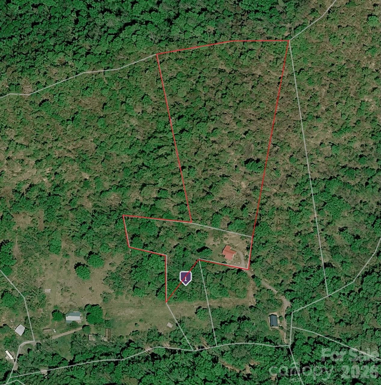 Approximately 10 acres have been defined by surveyor. - 280 Kelses Valley Drive, Mars Hill