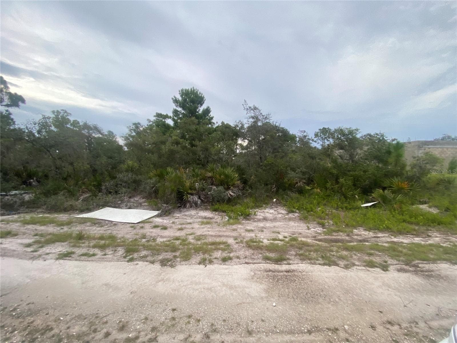 Land at 321 BRANT AVE, SEBRING, photo 3 of 3