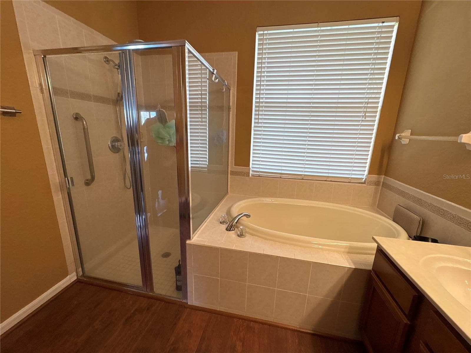 Single Family Residence at 10761 BANFIELD DR, RIVERVIEW, photo 32 of 55