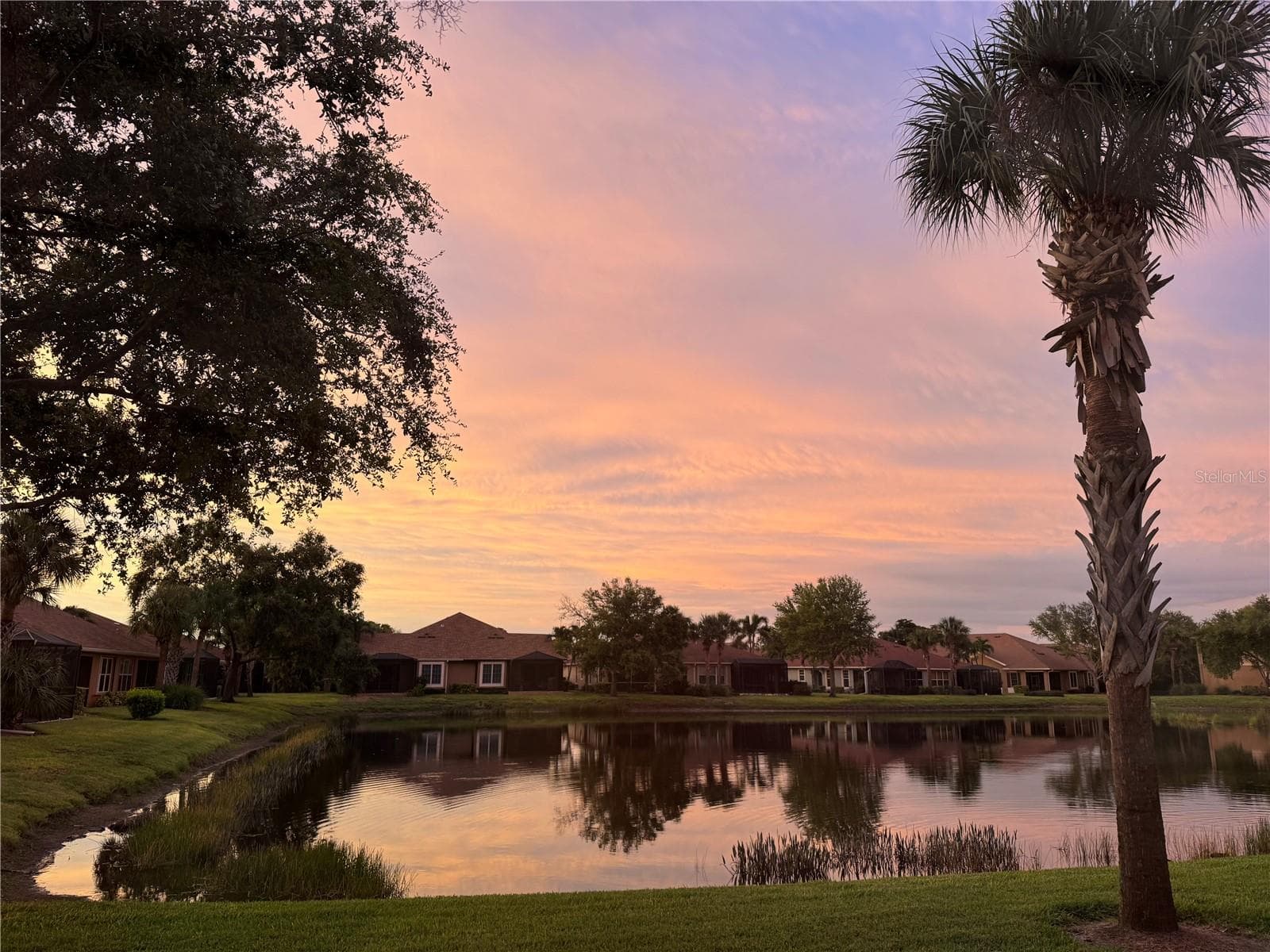 View from the lanai - 7344 SKYBIRD RD, BRADENTON