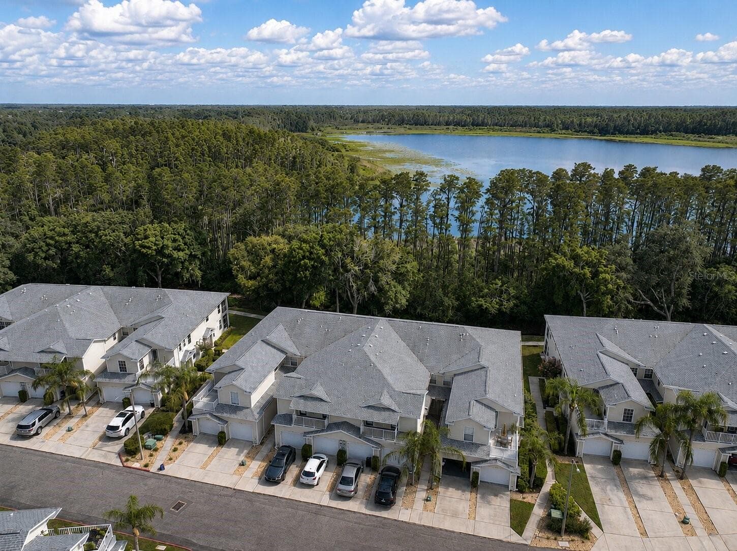 Condominium at 1651 HAMMOCKS AVE, LUTZ, photo 47 of 49