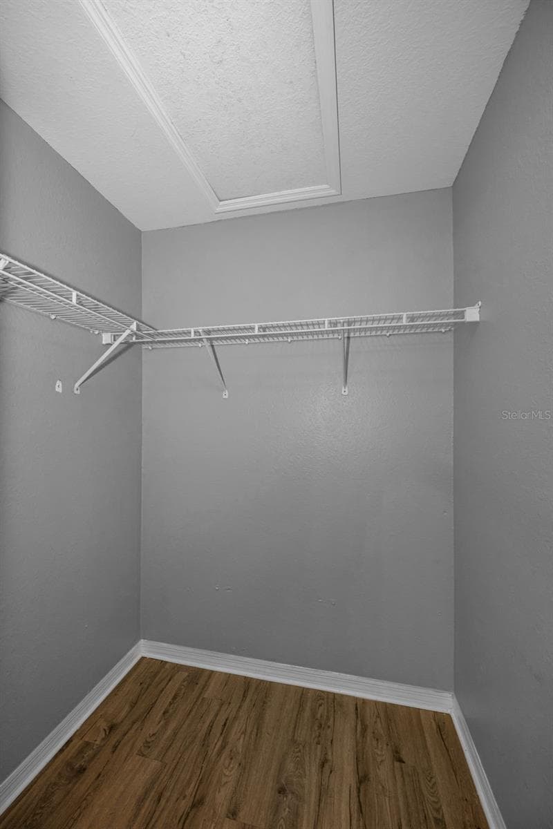 Bathroom 2 Closet - 9078 LAKE CHASE ISLAND WAY #9078, TAMPA