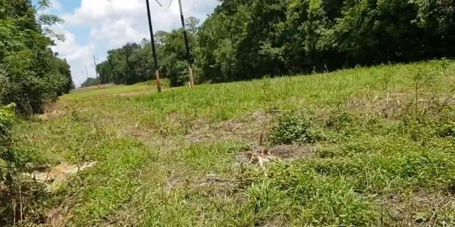 Land at 9438 SE HWY 464C SE, OCKLAWAHA, photo 9 of 12