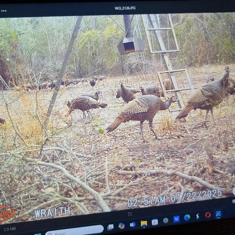 Land at 18233 185TH RD, LIVE OAK, photo 75 of 96