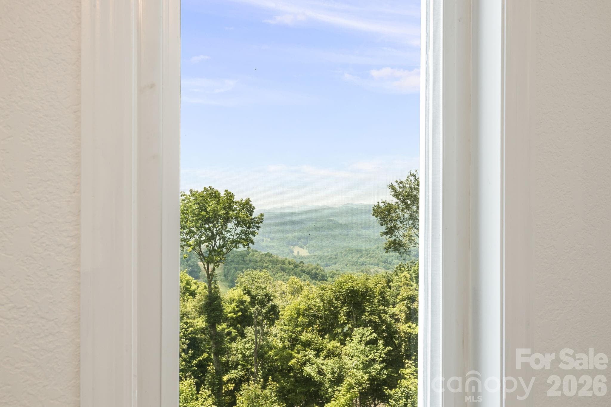 Single Family Residence at 129 Finney Lane, Mars Hill, photo 36 of 48