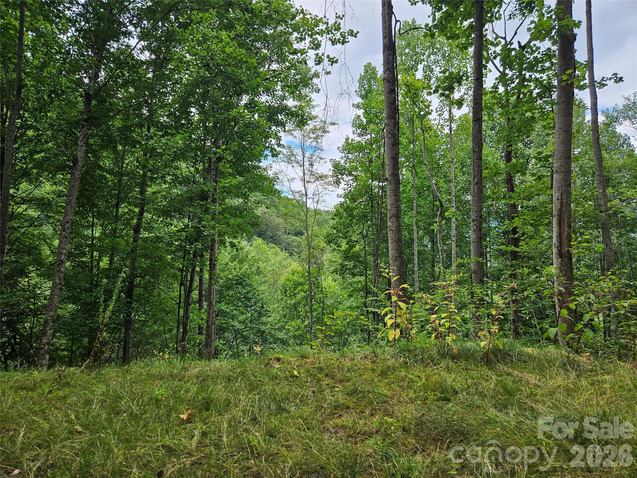 Lot at 00 Wayward Cove, Clyde, photo 7 of 15