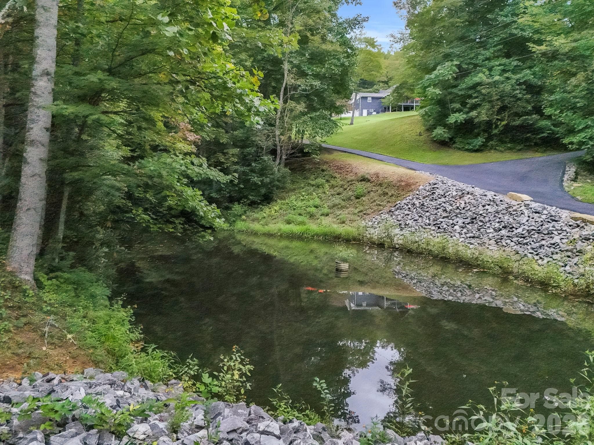 Pond #2 with brim, bass and catfish - 97 Whippoorwill Lane, Fairview