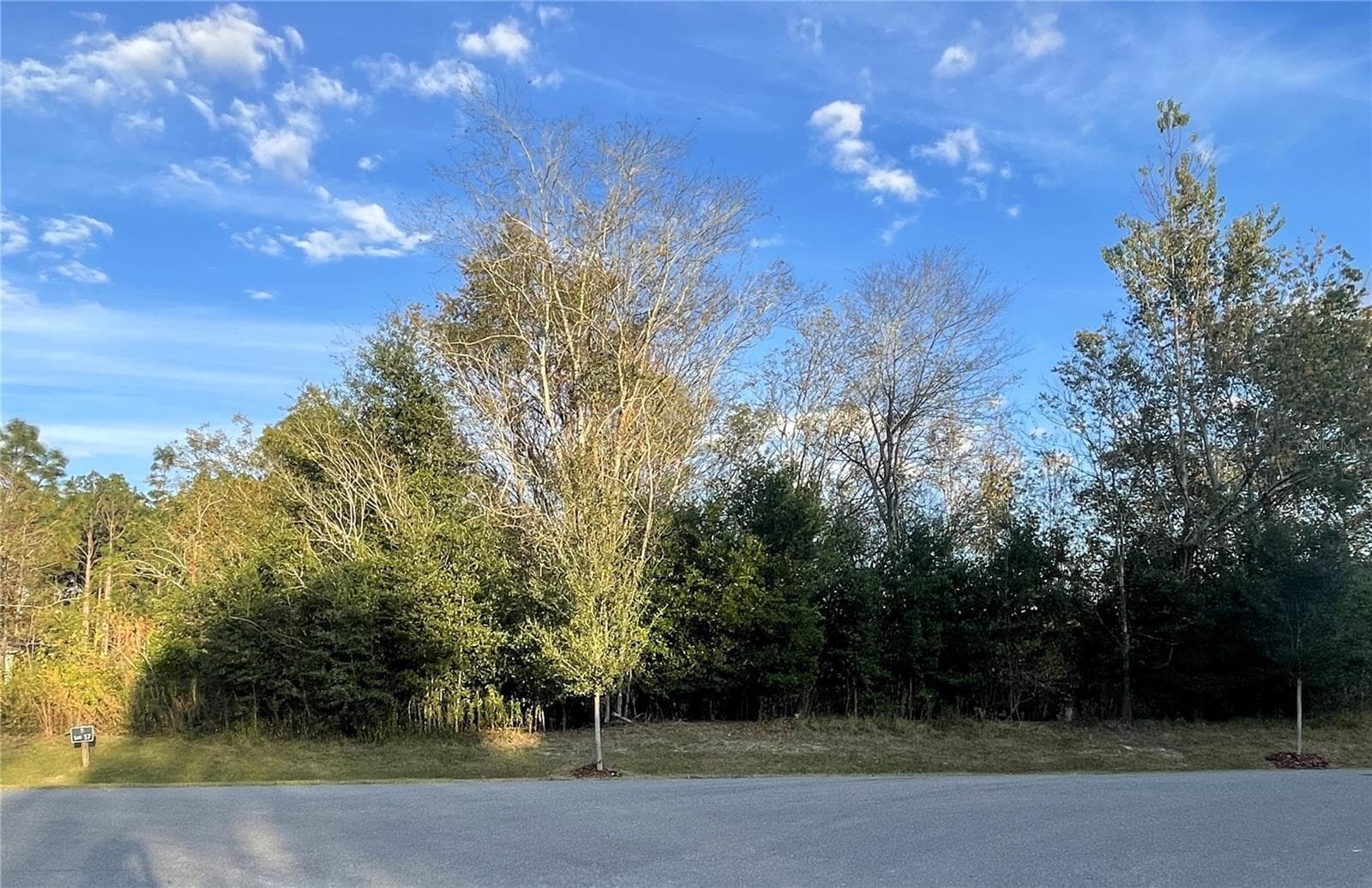 Lot 17 Front - 2375 NW 150TH BLVD, NEWBERRY