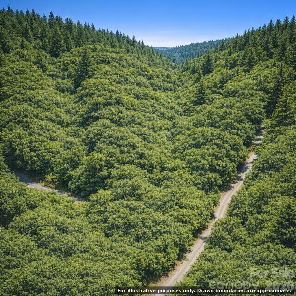 Lot at Lot 124 Trellis Drive, Nebo, photo 6 of 11