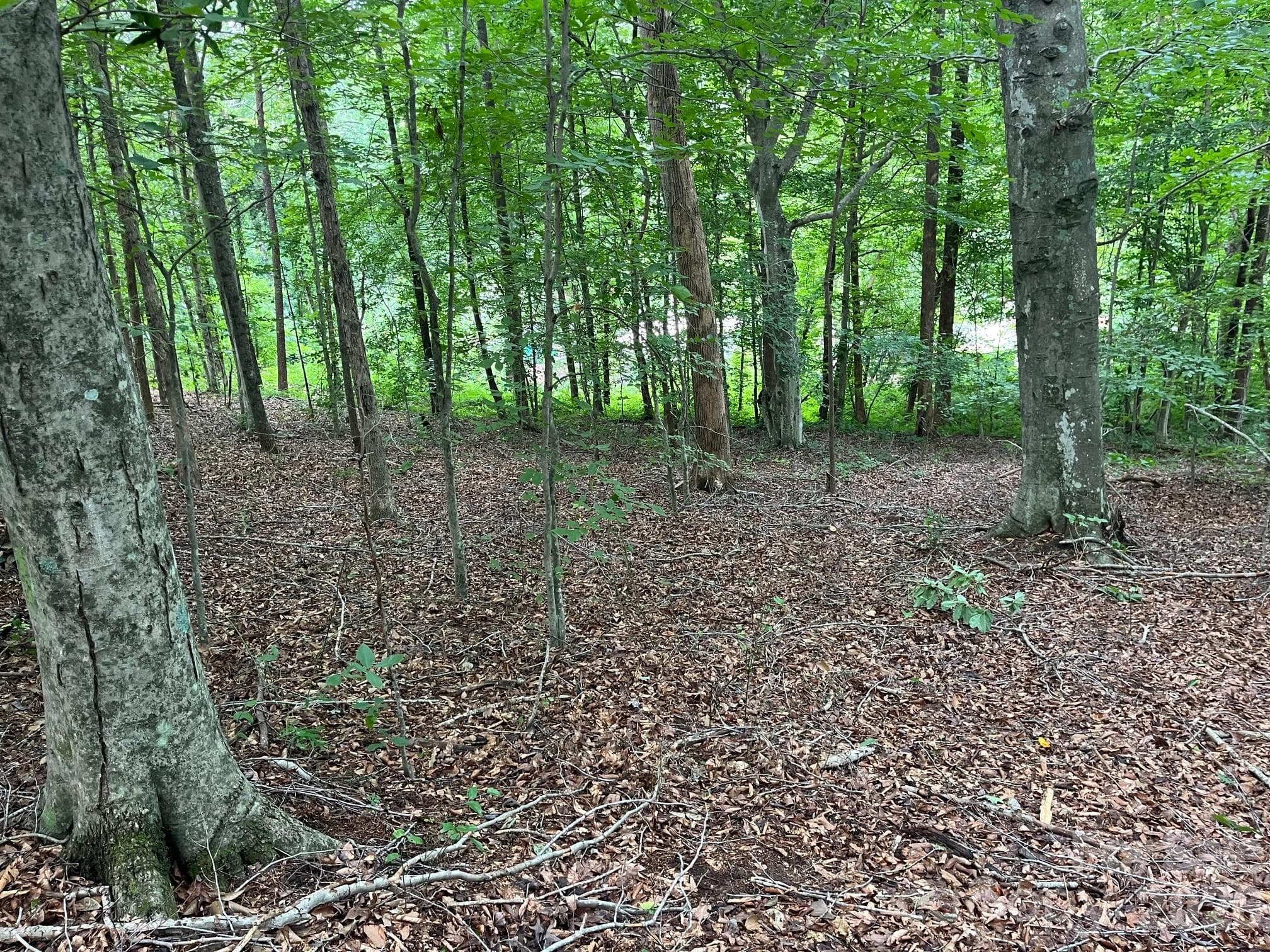 Acreage at Nebo, photo 2 of 17