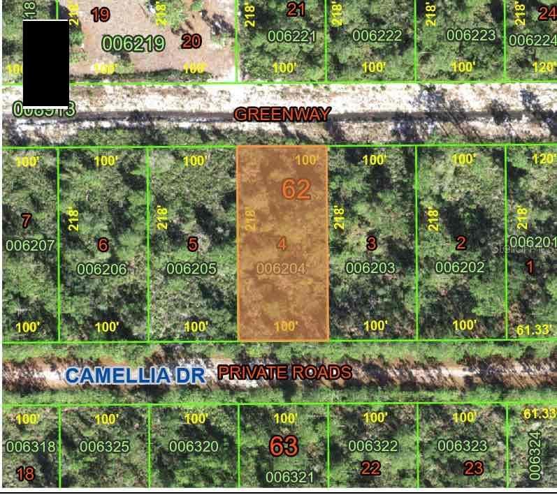 CAMELLIA DR