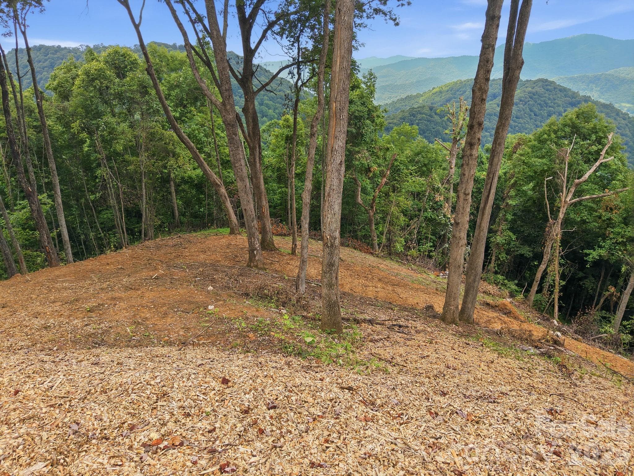 99999 Davidson Gap Road