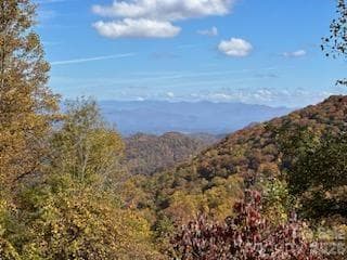 Million Dollar View! - 580 Freemont Drive, Leicester