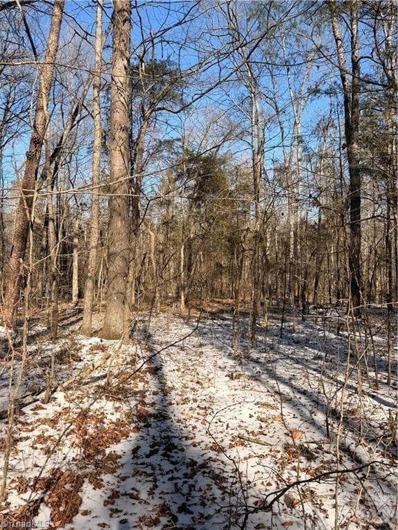 Acreage at 00 Stokes Ferry Road, Gold Hill, photo 4 of 5