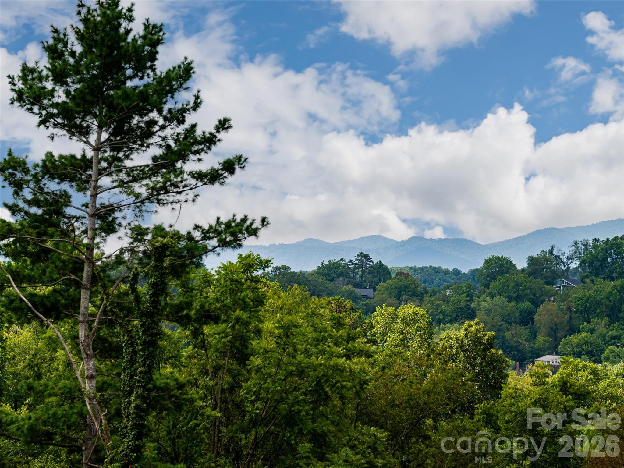 Long range mountain views from back deck, living room. When leaves are gone, the view magnifies ! - 309 Ava Lane, Asheville