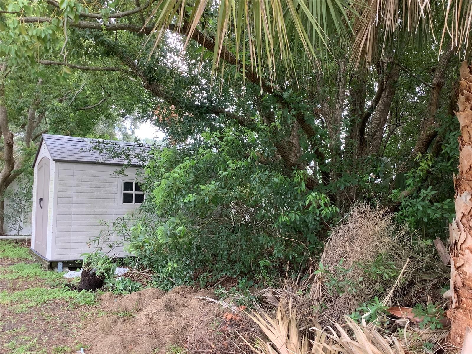 Single Family Residence at 665 STEVELYNN CIR, WINTER GARDEN, photo 10 of 42