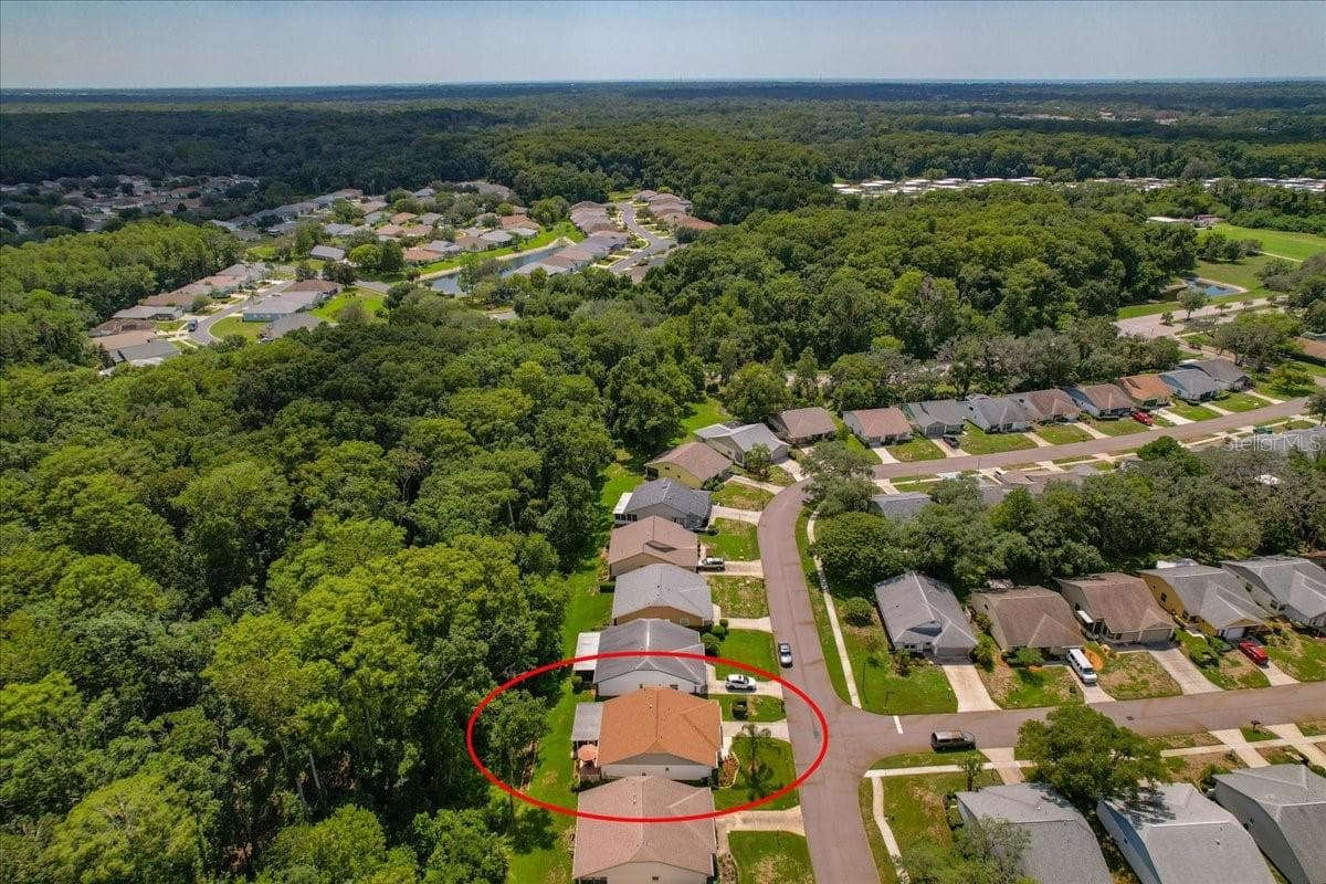 Looking West - 11602 WHITE ASH DR, NEW PORT RICHEY