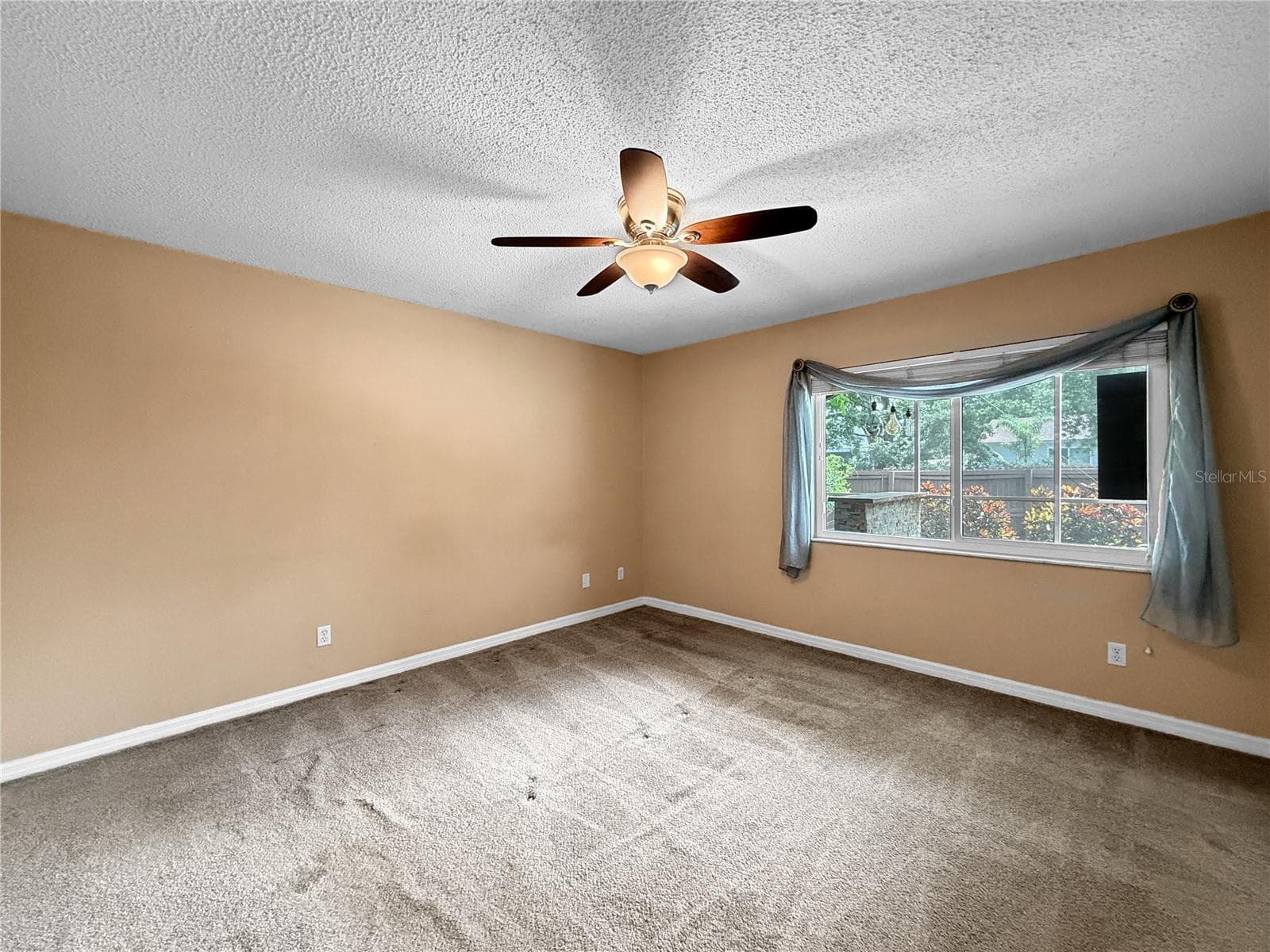 Primary Bedroom - 1583 REDWOOD AVE, DUNEDIN
