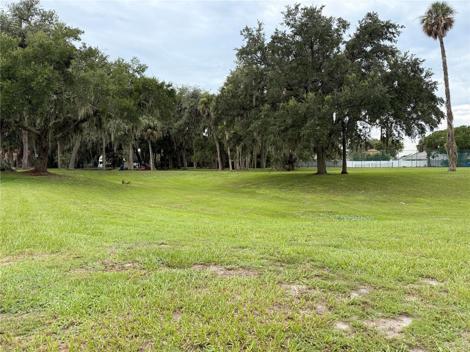HOA Open Field - 142 BRIGHTVIEW DR, LAKE MARY