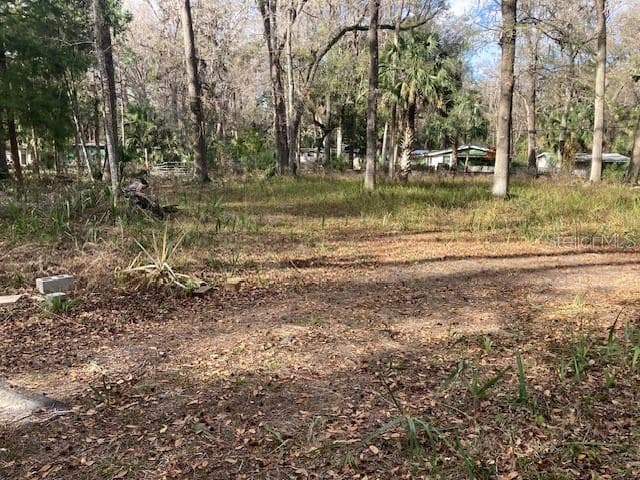 2456 N JUNGLE CAMP RD #1