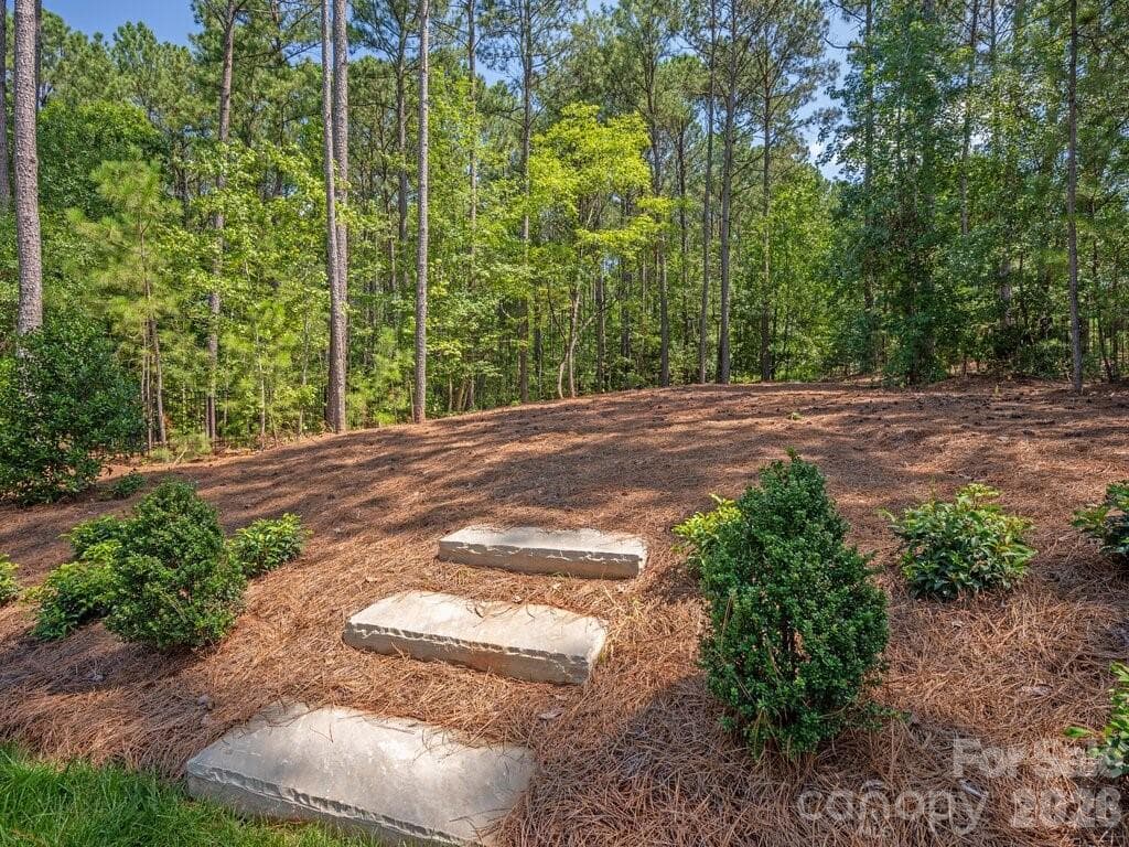 Back Garden - 3098 Sherman Drive, Lancaster