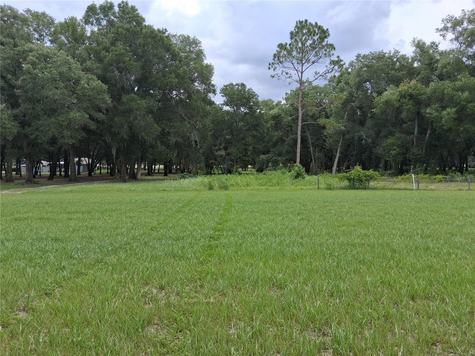 Land at GRASS ROOTS RD, GROVELAND, photo 10 of 13