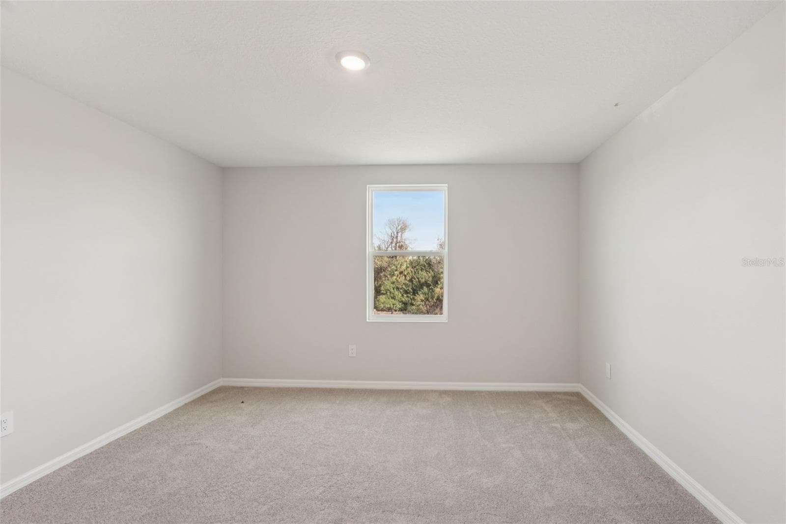 Representative images and renderings are for illustrative purposes. Actual structural options and design finishes of home may vary. - 2909 CITRUS GROVE STREET, WIMAUMA