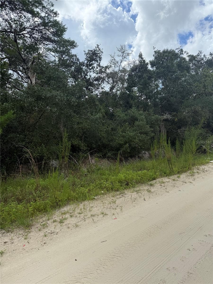 Land at ST CLAIRE LAKE DR, DELAND, photo 5 of 17
