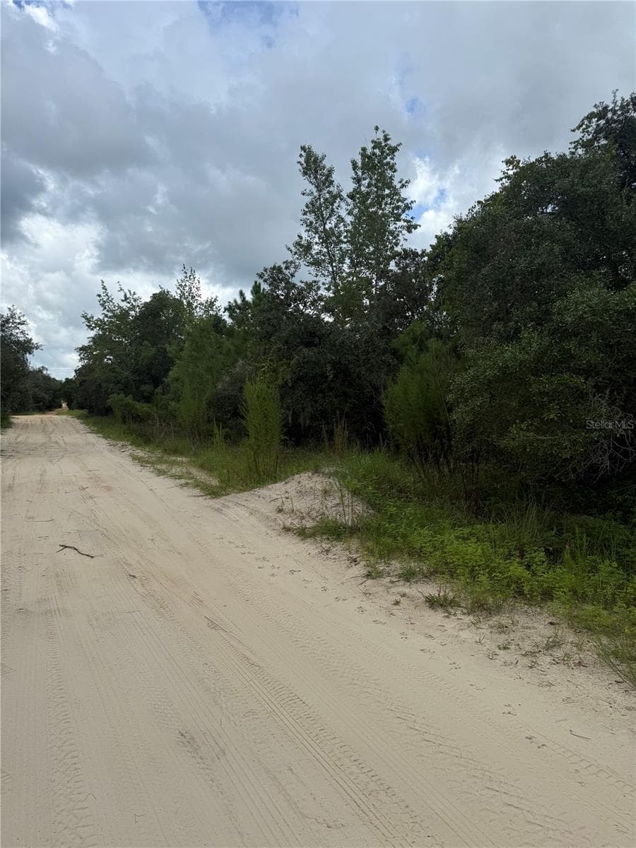 Land at ST CLAIRE LAKE DR, DELAND, photo 4 of 17
