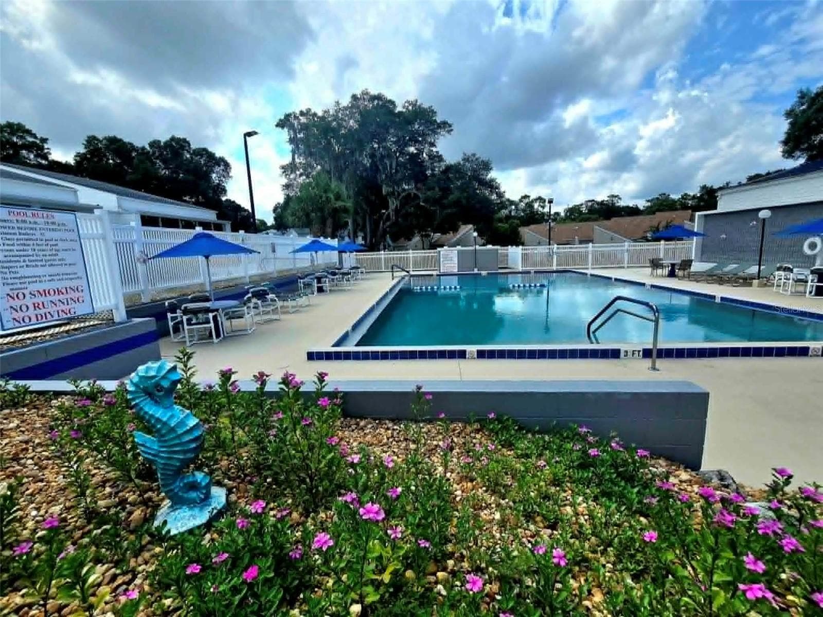 Community Pool - 3333 S LIVERPOOL PT, INVERNESS