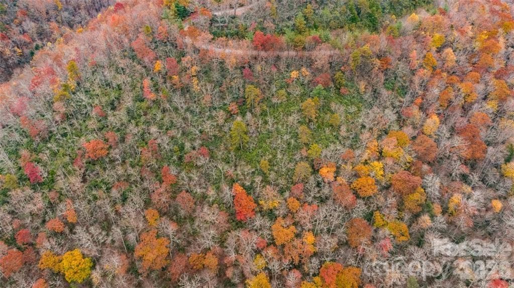 Aerial view straight on - 82 Davey Crockett Road, Fairview