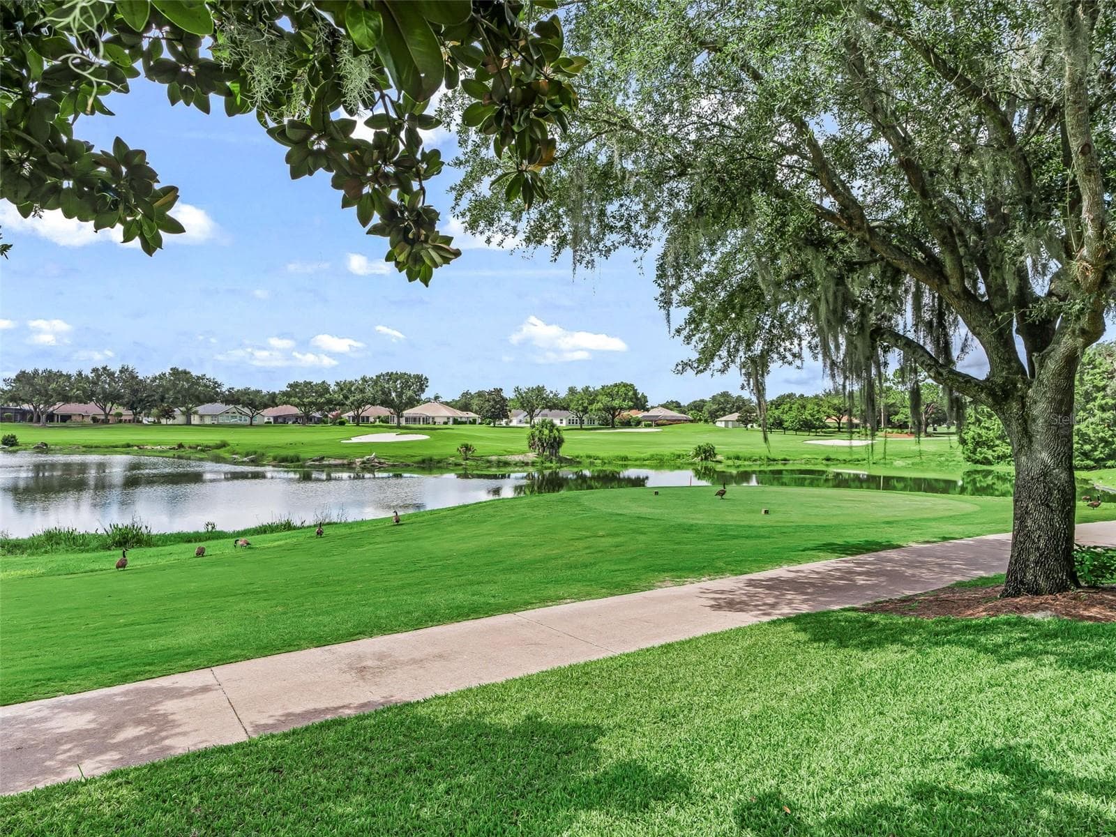 9th Tee box - 17116 SE 79TH MCLAWREN TER, THE VILLAGES