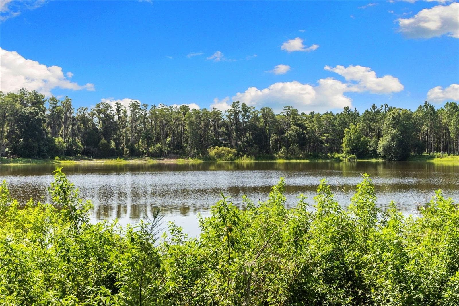 Land at 18117 BOY SCOUT RD, ODESSA, photo 8 of 21