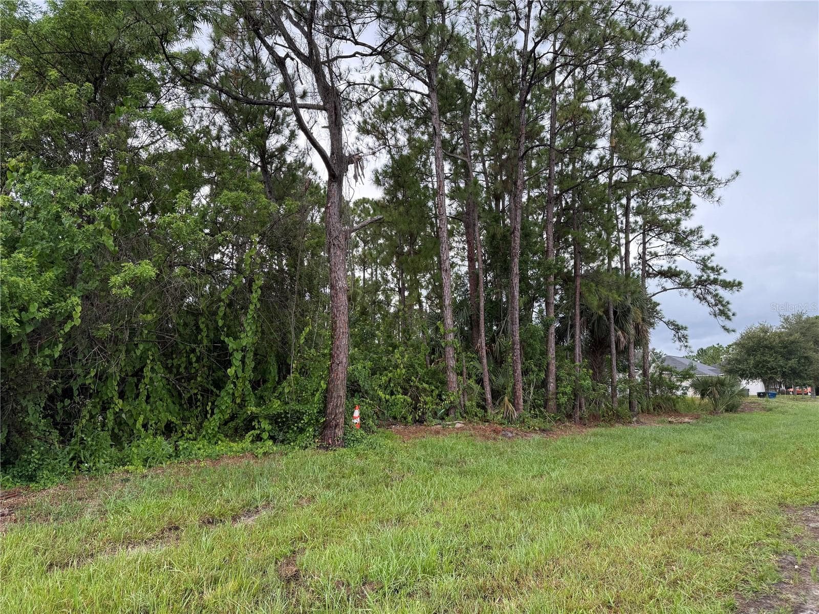 Land at 2361 SAN FILIPPO DR SE, PALM BAY, photo 2 of 2