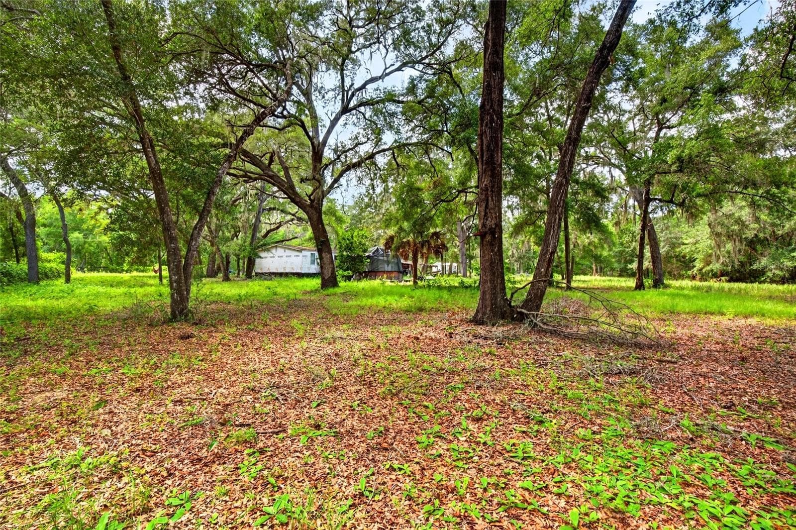 Manufactured Home at 9955 SE 160TH AVE, OCKLAWAHA, photo 49 of 51