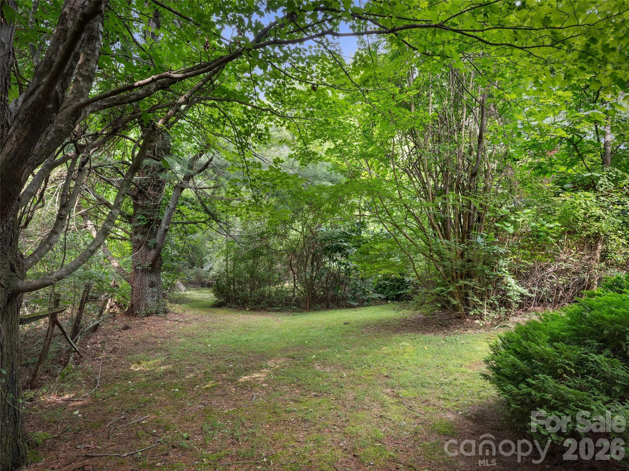 back yard - 95 Substation Road, Saluda