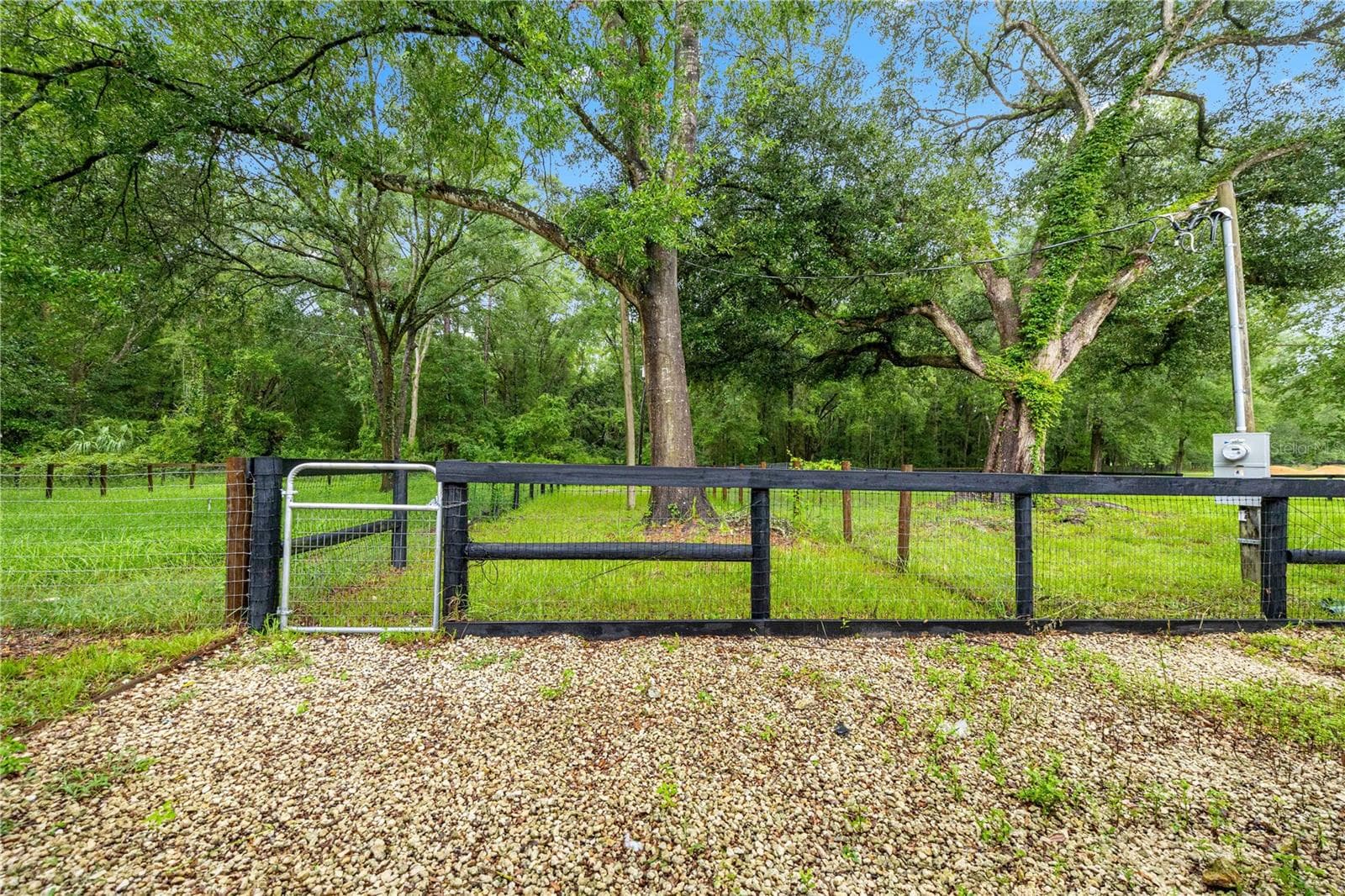 pasture - 13250 NW 160TH AVE, MORRISTON