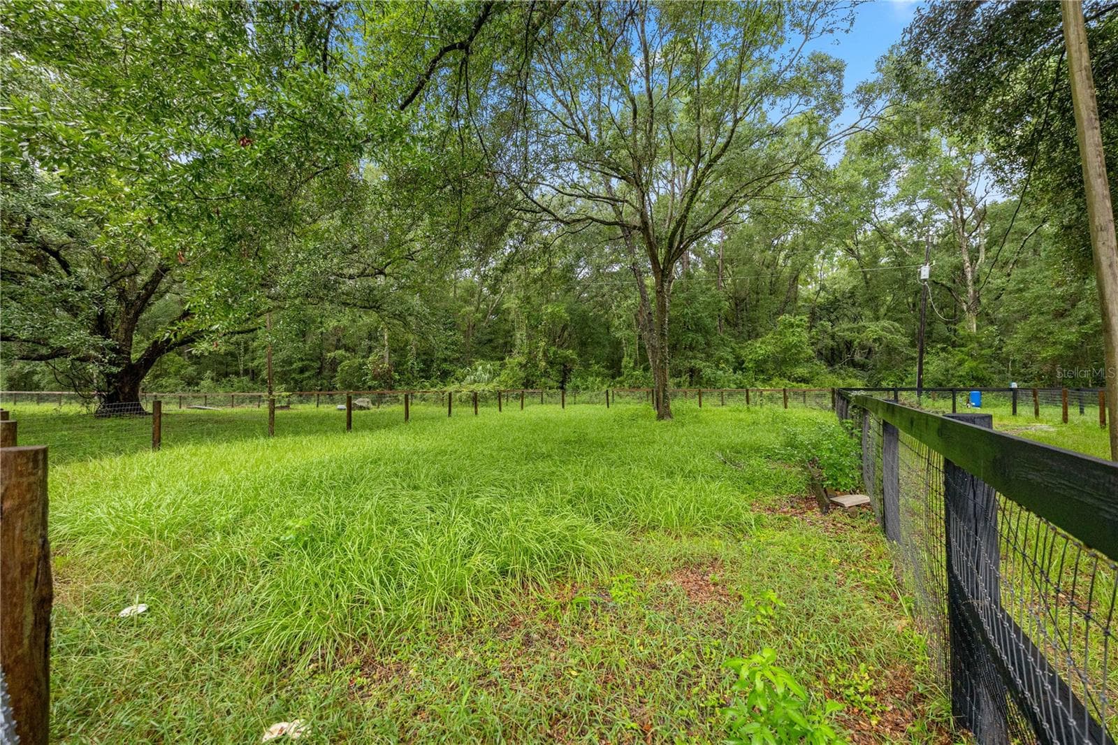 smaller pasture - 13250 NW 160TH AVE, MORRISTON
