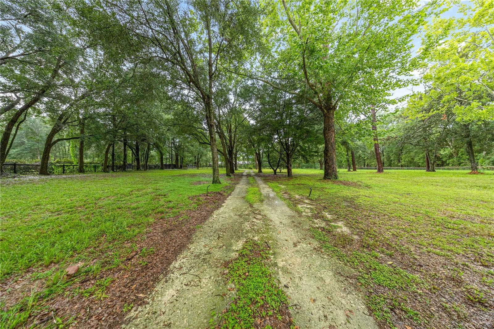 long drive way through the gate to get to the house - 13250 NW 160TH AVE, MORRISTON