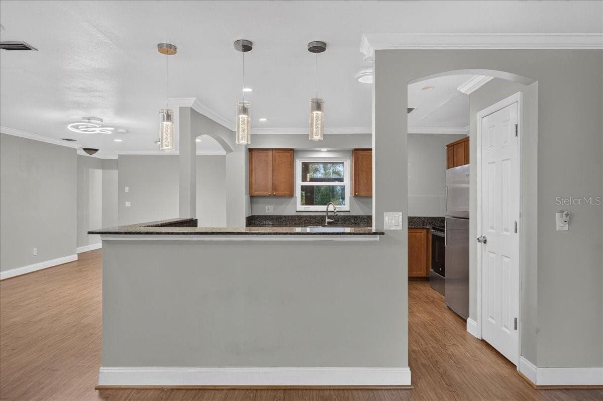 Single Family Residence at 1221 E LIME ST, TARPON SPRINGS, photo 9 of 50