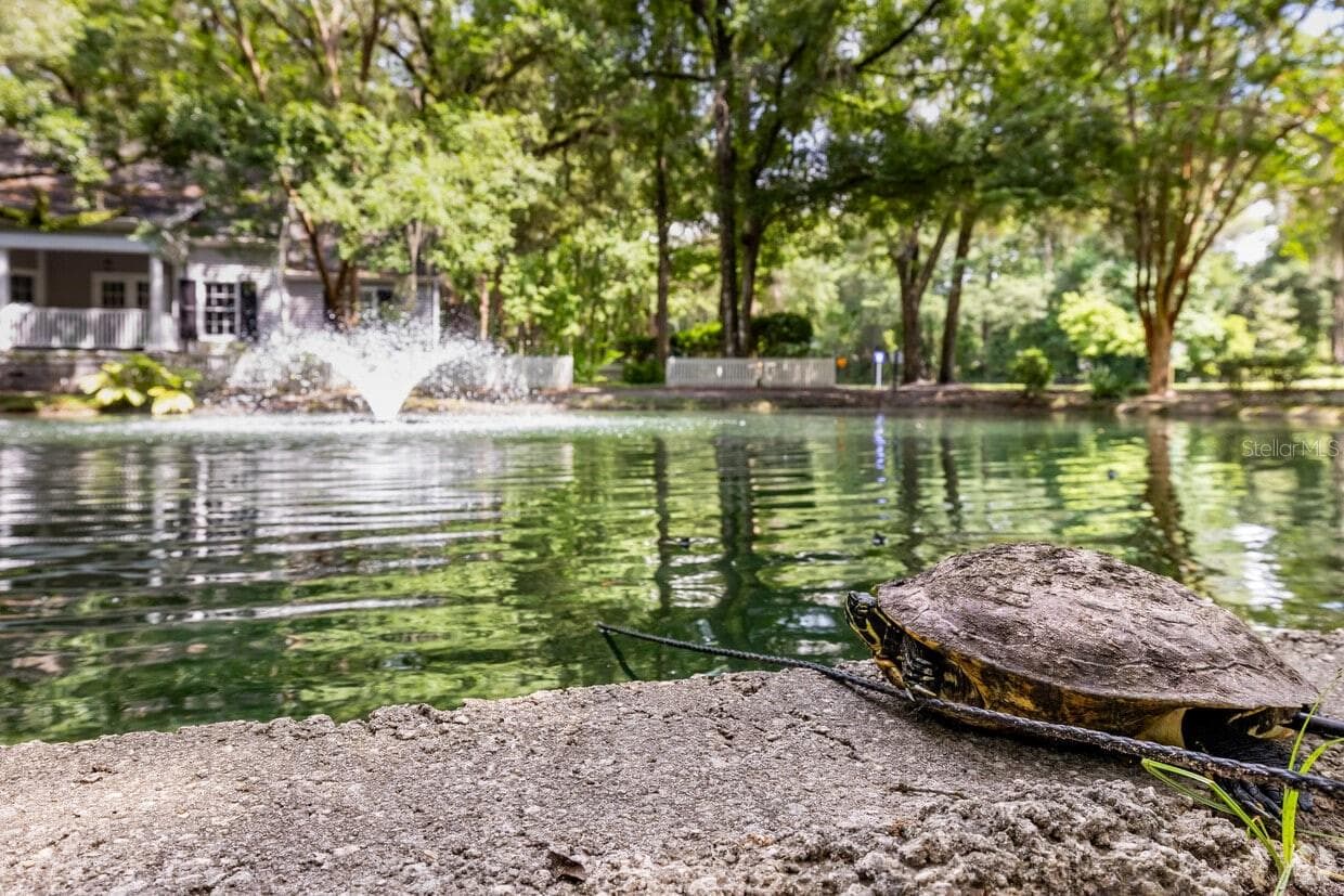 community ponds and turtles - 3033 SW 98TH DR, GAINESVILLE