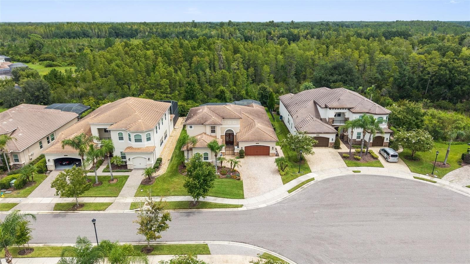 Private Cul-de-sac - 30581 IVY FORGE CT, WESLEY CHAPEL