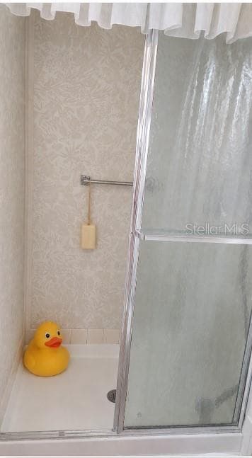 AI Enhanced Shower - 104 CALADIUM ST, LEESBURG